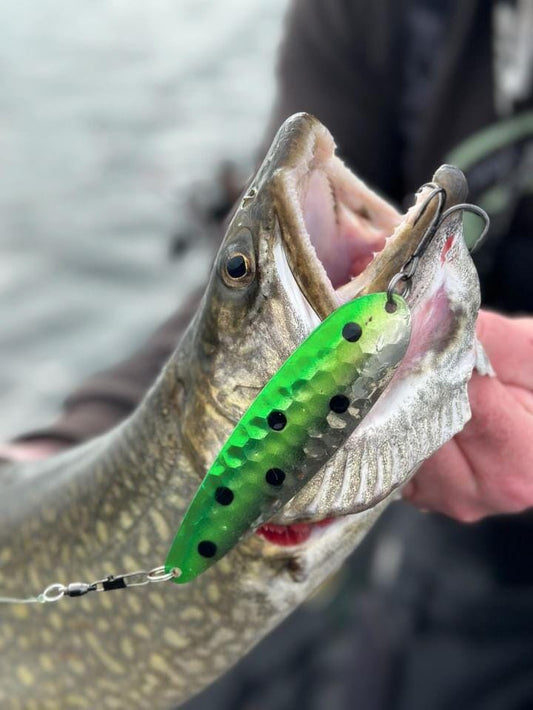 TNT Fishing Lures- A Brilliant 2 Years in Business