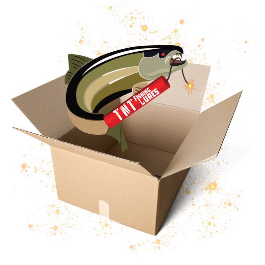 NEW 2024 BEST PRODUCERS BOX
