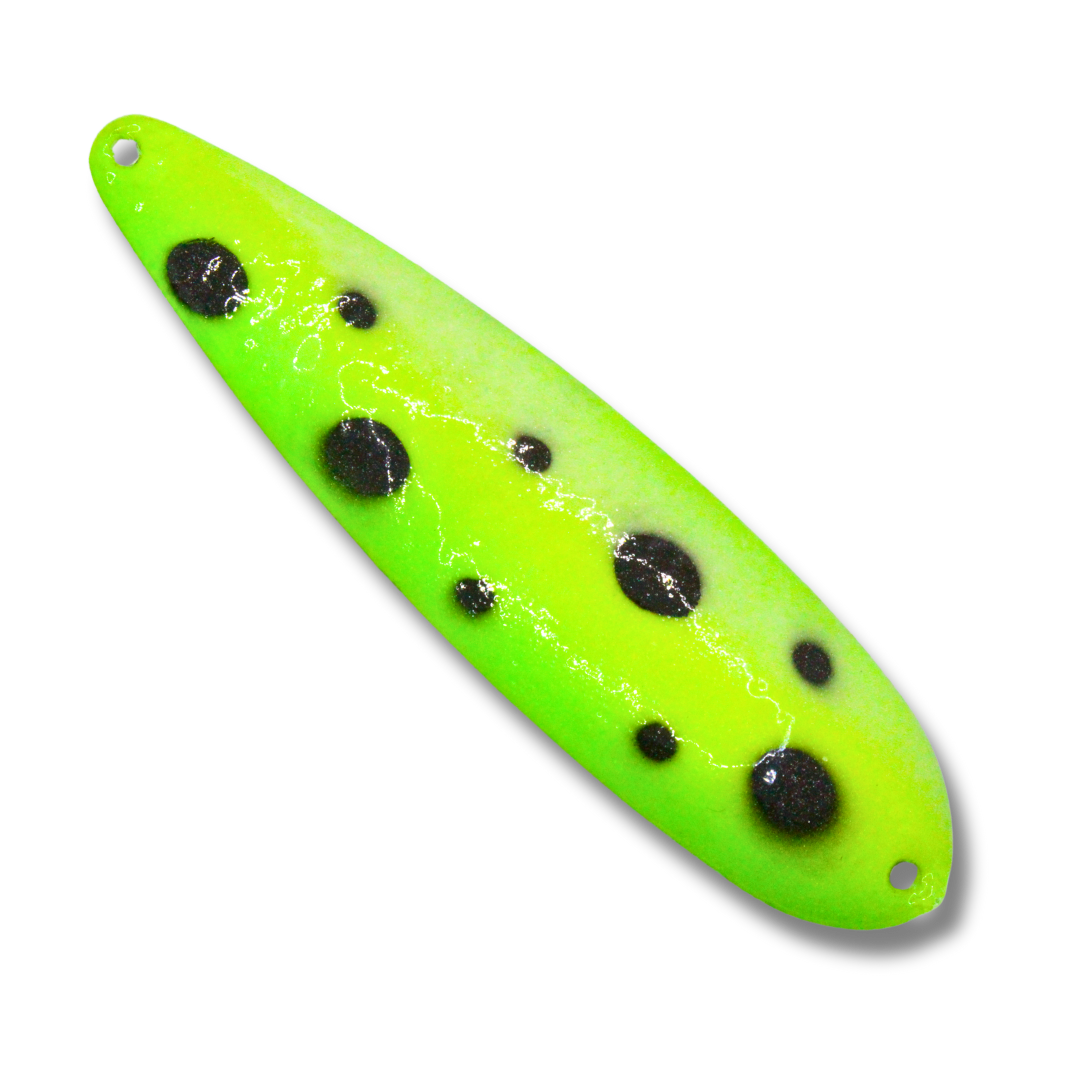 Speckled Sea Monkey